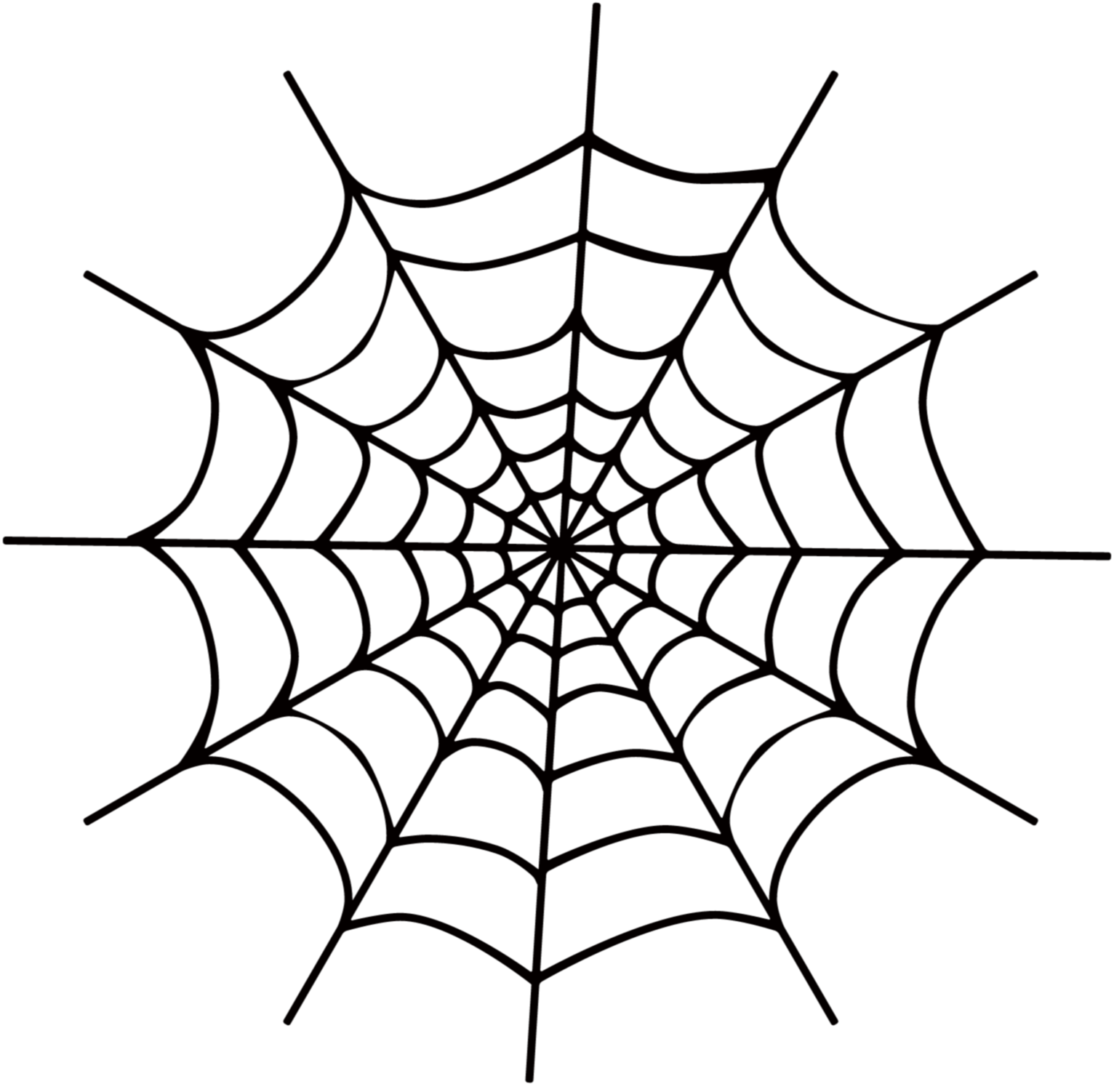 spider