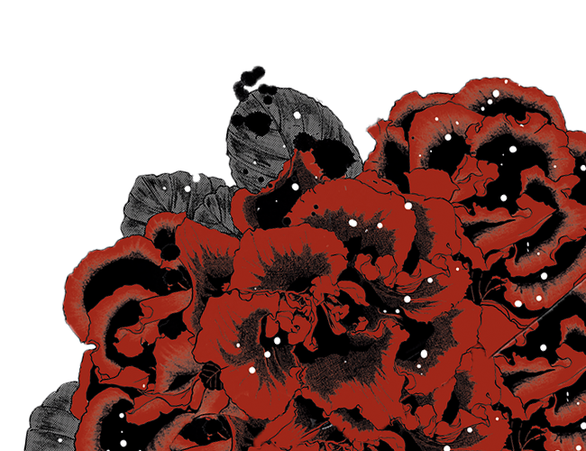 greed