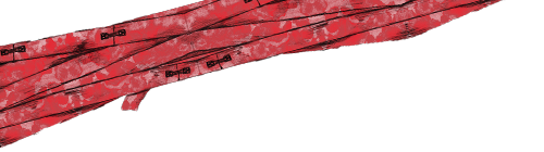 bandage