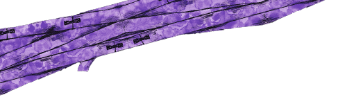 bandage