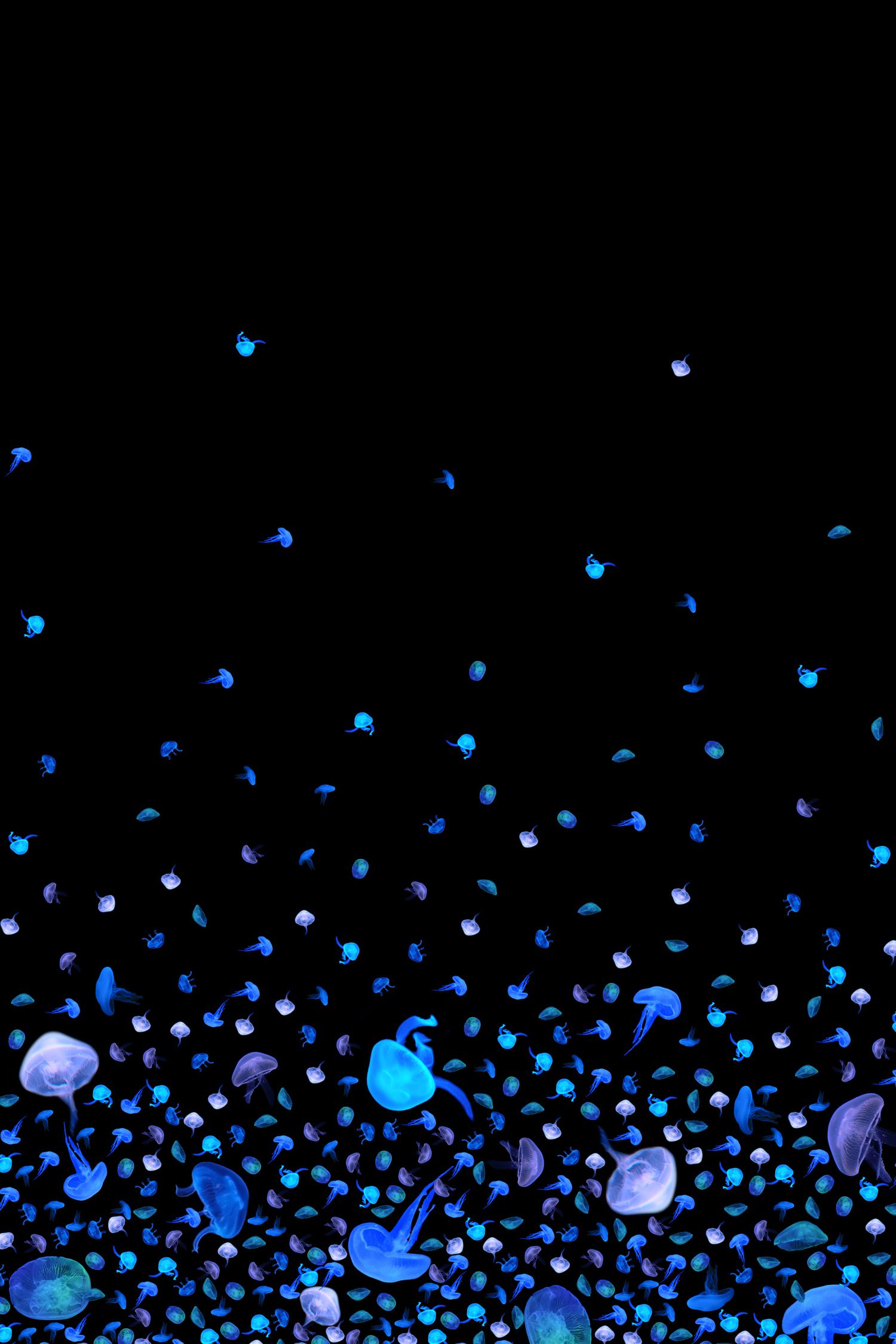 ankoROCK(アンコロック)　バラバラクラゲ　チュールスカート Amazon.co.jp: [アンコロック] バラバラクラゲチュールスカート
